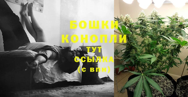 дживик Арсеньев