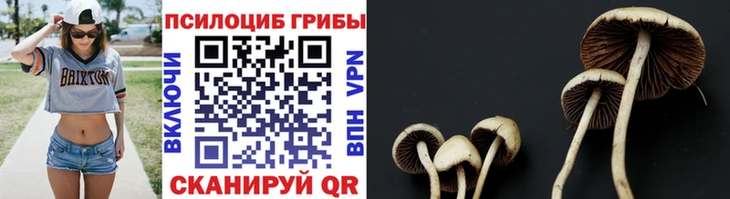 блэк спрут   Благодарный  Псилоцибиновые грибы MAGIC MUSHROOMS 